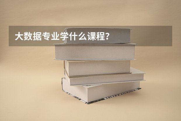 大数据专业学什么课程？