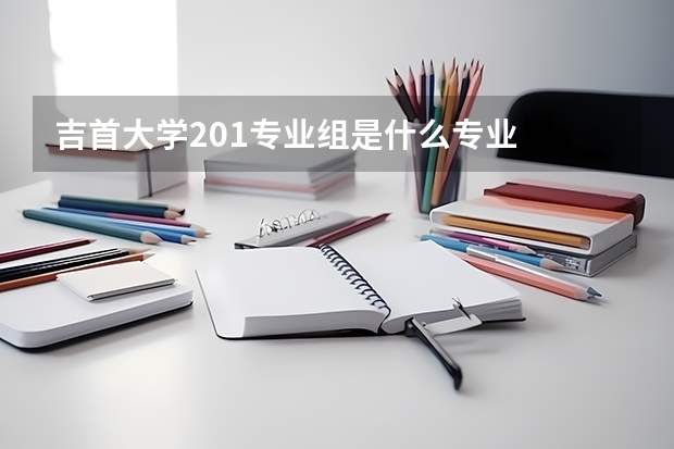 吉首大学201专业组是什么专业