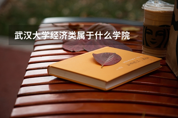 武汉大学经济类属于什么学院
