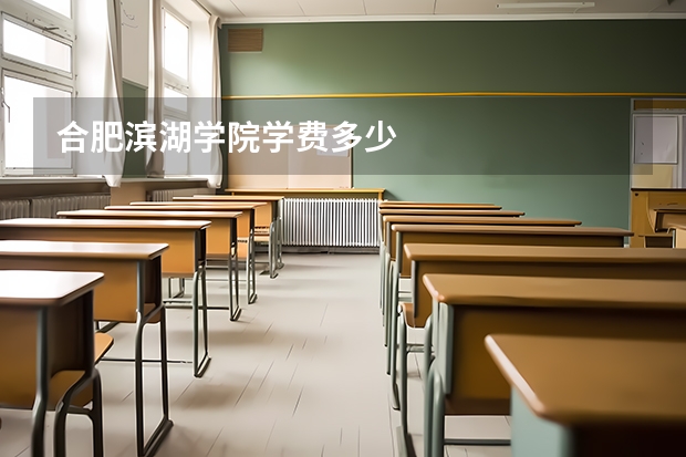 合肥滨湖学院学费多少