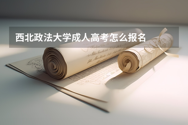 西北政法大学成人高考怎么报名