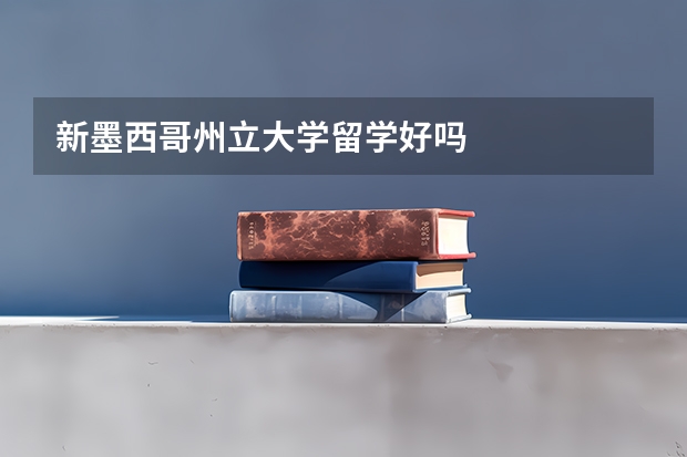 新墨西哥州立大学留学好吗
