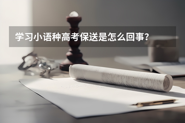 学习小语种高考保送是怎么回事?