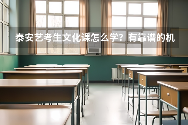 泰安艺考生文化课怎么学？有靠谱的机构推荐吗