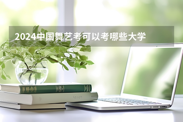 2024中国舞艺考可以考哪些大学