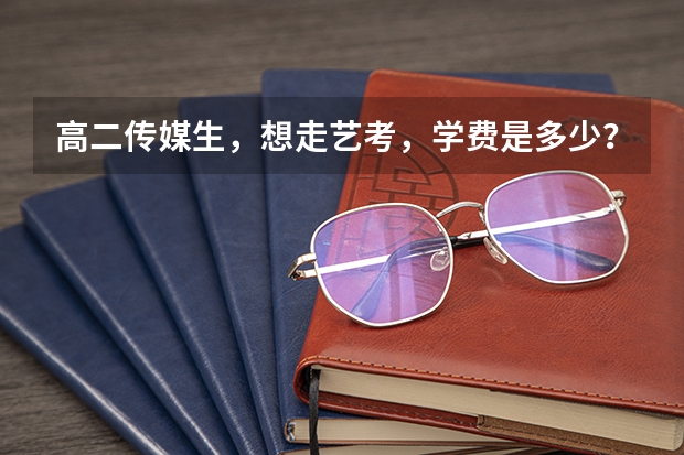 高二传媒生,想走艺考,学费是多少?