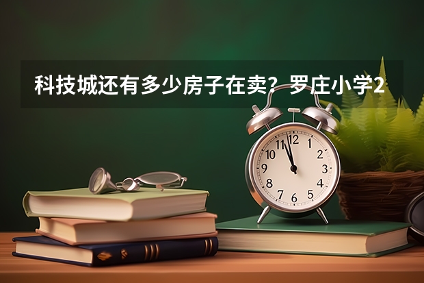 科技城还有多少房子在卖？罗庄小学2025年底竣工，中学明年启动！