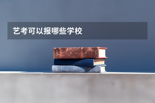艺考可以报哪些学校