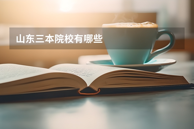 山东三本院校有哪些