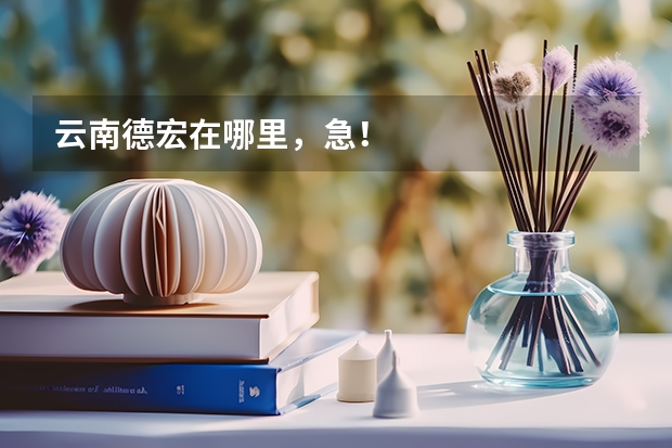 云南德宏在哪里，急！