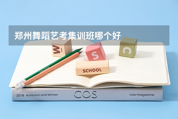 郑州舞蹈艺考集训班哪个好
