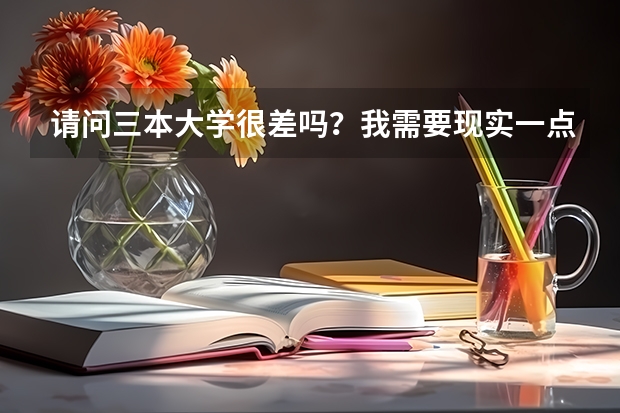 请问三本大学很差吗？我需要现实一点的回答....