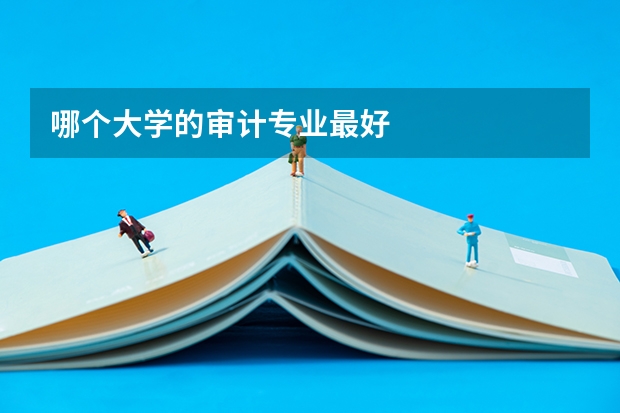 哪个大学的审计专业最好