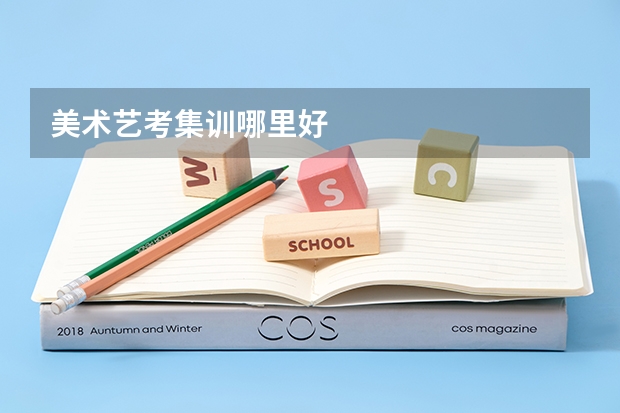 美术艺考集训哪里好