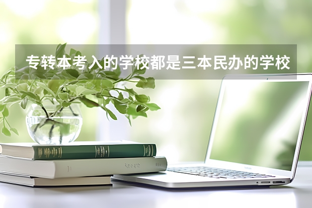 专转本考入的学校都是三本民办的学校吗