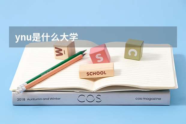 ynu是什么大学