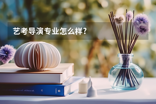 艺考导演专业怎么样?