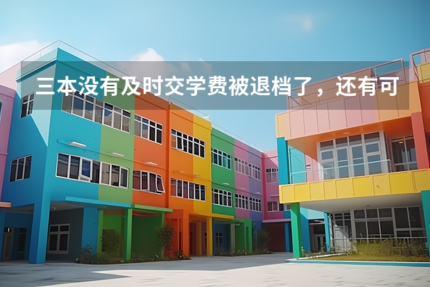 三本没有及时交学费被退档了，还有可能被别的学校录取吗？