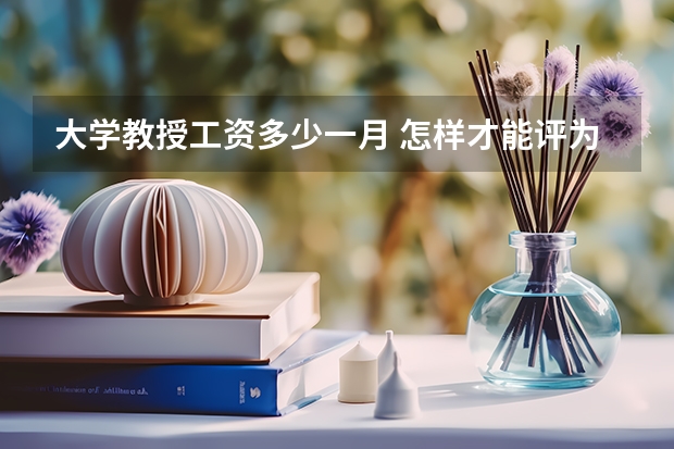 大学教授工资多少一月 怎样才能评为大学教授