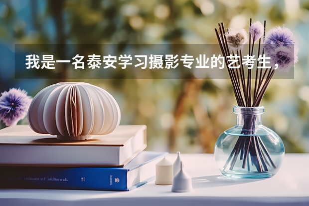 我是一名泰安学习摄影专业的艺考生，艺考后想辅导一下文化课，能推荐一下比较靠谱的文化课辅导机构吗？