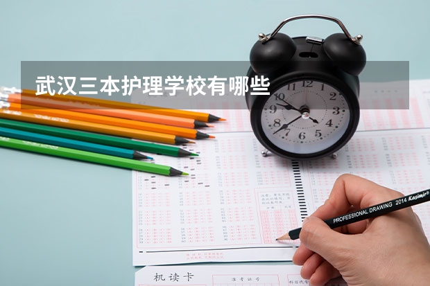 武汉三本护理学校有哪些