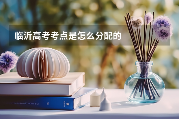 临沂高考考点是怎么分配的