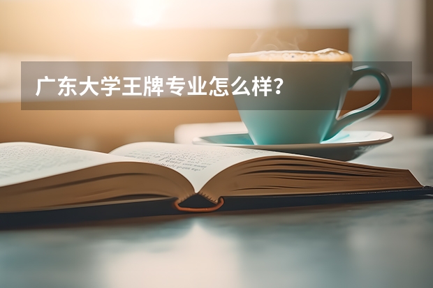 广东大学王牌专业怎么样？