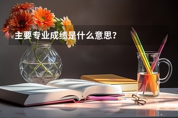 主要专业成绩是什么意思？