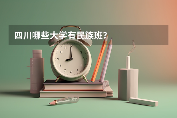 四川哪些大学有民族班？
