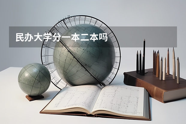 民办大学分一本二本吗