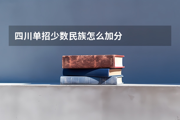 四川单招少数民族怎么加分