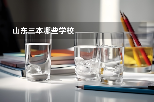 山东三本哪些学校