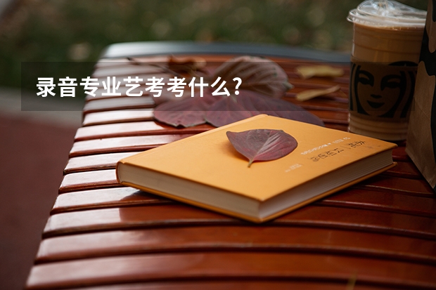 录音专业艺考考什么?