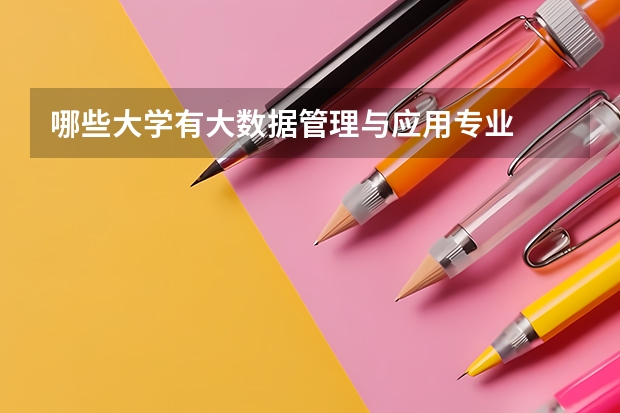 哪些大学有大数据管理与应用专业