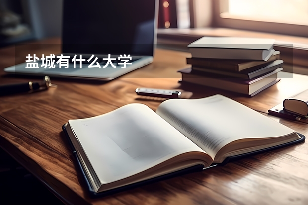 盐城有什么大学
