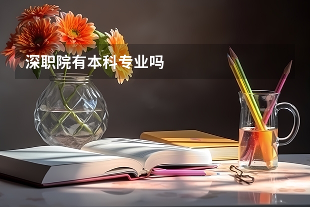 深职院有本科专业吗