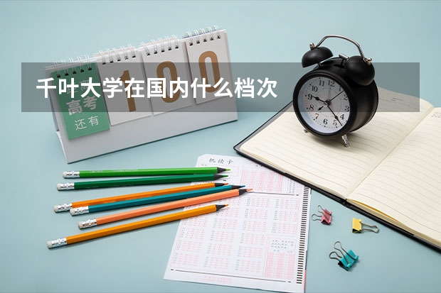 千叶大学在国内什么档次