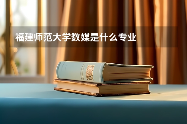 福建师范大学数媒是什么专业