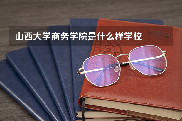 山西大学商务学院是什么样学校