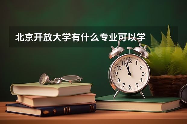 北京开放大学有什么专业可以学