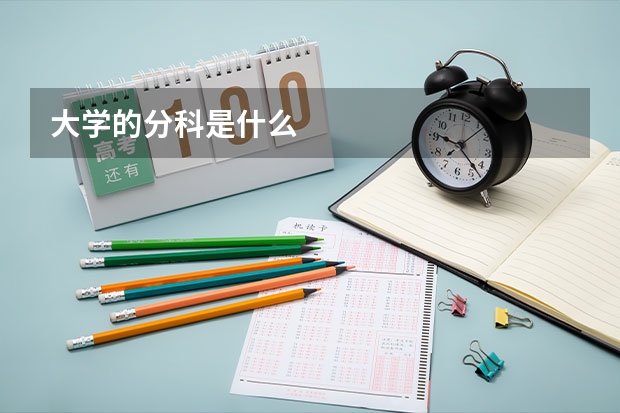 大学的分科是什么