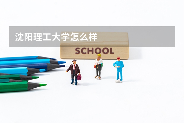 沈阳理工大学怎么样