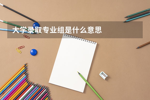 大学录取专业组是什么意思