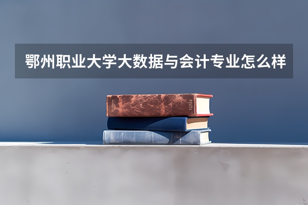 鄂州职业大学大数据与会计专业怎么样
