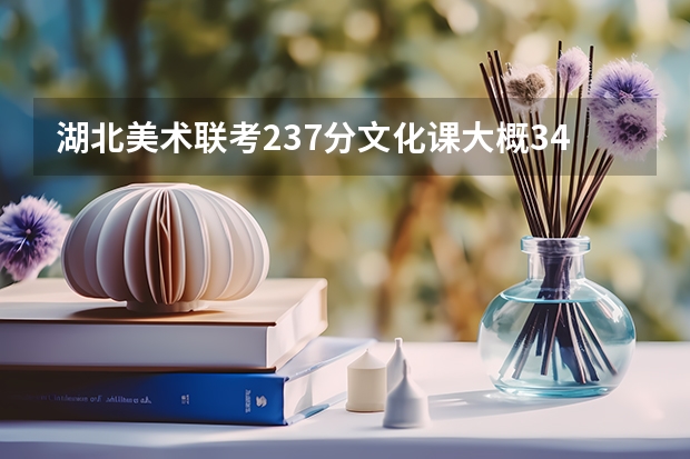 湖北美术联考237分文化课大概340来分能上什么大学啊最好是武汉的