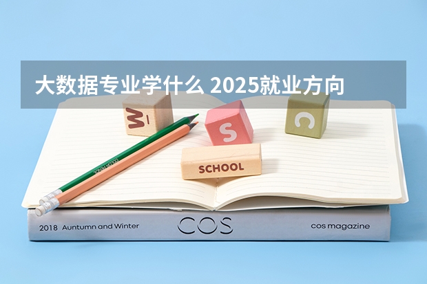 大数据专业学什么 2025就业方向有什么