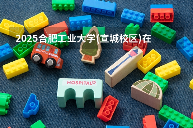 2025合肥工业大学(宣城校区)在安徽招生计划预测